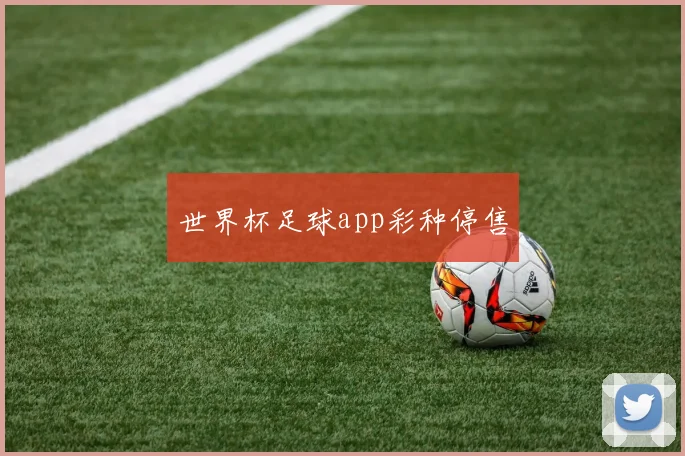 世界杯足球app彩种停售