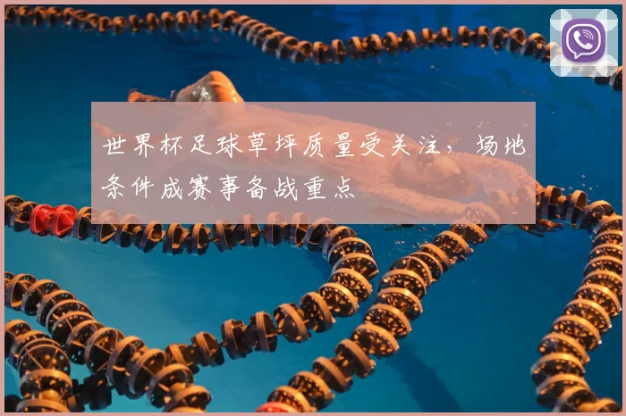 世界杯足球草坪质量受关注，场地条件成赛事备战重点