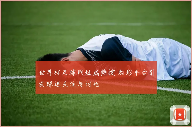 世界杯足球网址成热搜 购彩平台引发球迷关注与讨论