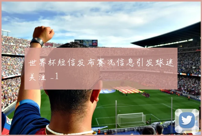 世界杯短信发布赛况信息引发球迷关注 _1