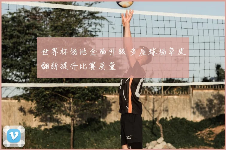 世界杯场地全面升级 多座球场草皮翻新提升比赛质量