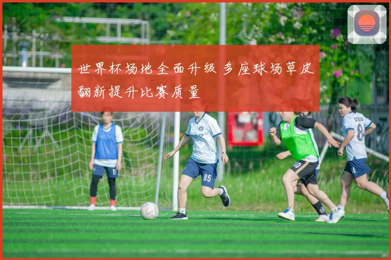 世界杯场地全面升级 多座球场草皮翻新提升比赛质量